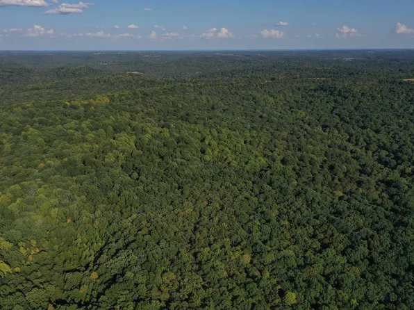 0 Herring Mill Rd, Elkton, KY 42220