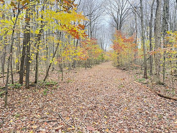 5th image of LOT 5 Laird Rd