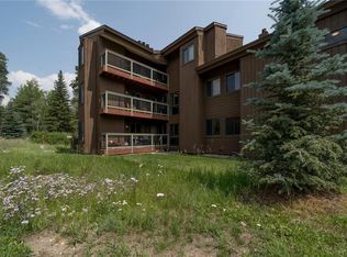 373 Wild Irishman Rd #1082, Dillon, CO 80435