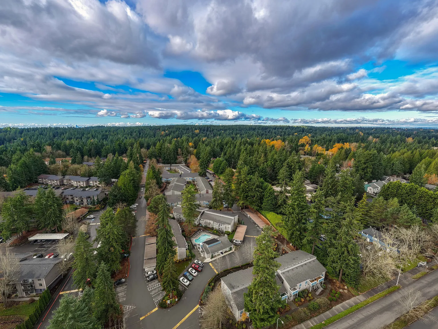 Timberwood — Photo 4