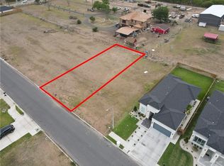 2909 N Alyna Ave, Edinburg, TX 78541