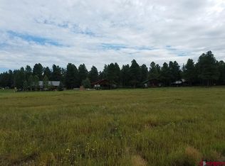 1406 Antelope Ave, Pagosa Springs, CO 81147