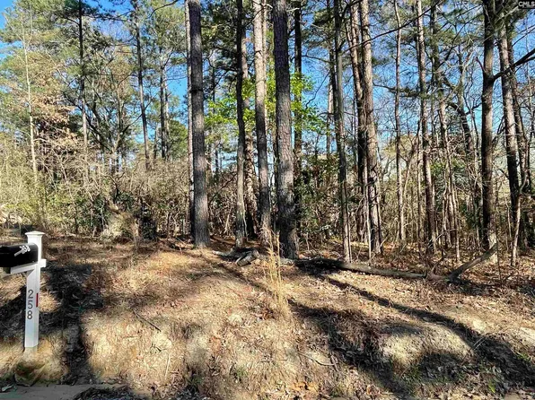 0 Green Hills Dr, Gilbert, SC 29054