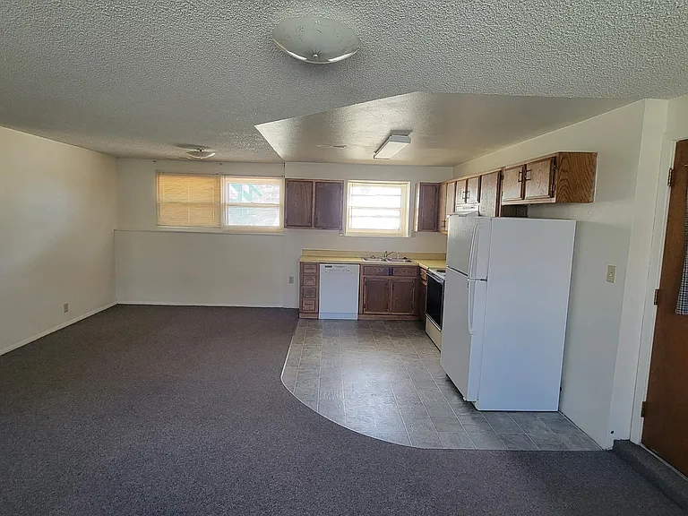 Living area and kitchen.