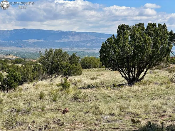 142 N Osprey Ct, Canon City, CO 81212