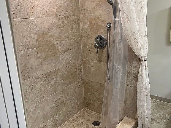 Master bath walk-in shower