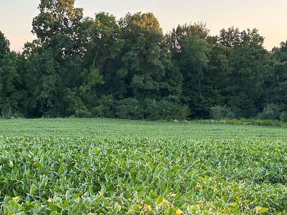 5th image of 8623 W Crum Rd