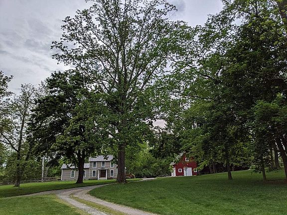 3rd image of 35803 Hayman Ln