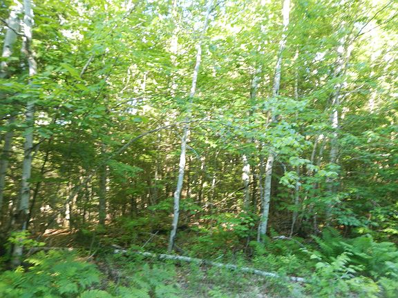 3rd image of 02-09-00-0 Upper Dobsis Road