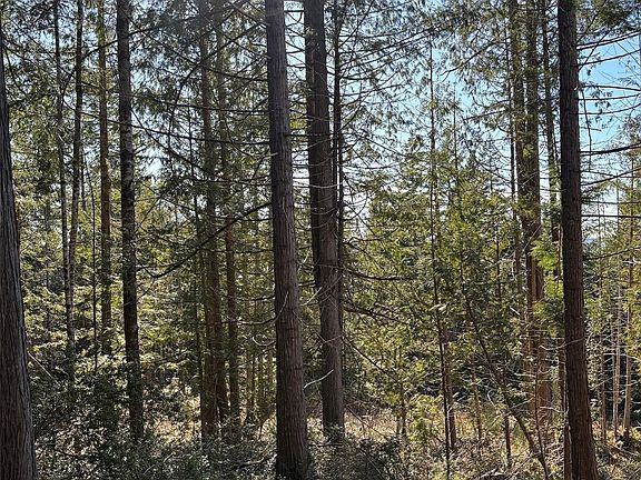 3rd image of 1 NKA Yashi Road