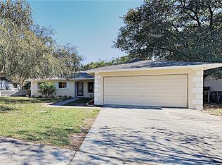 411 Bonnie View Dr, Valrico, FL 33594