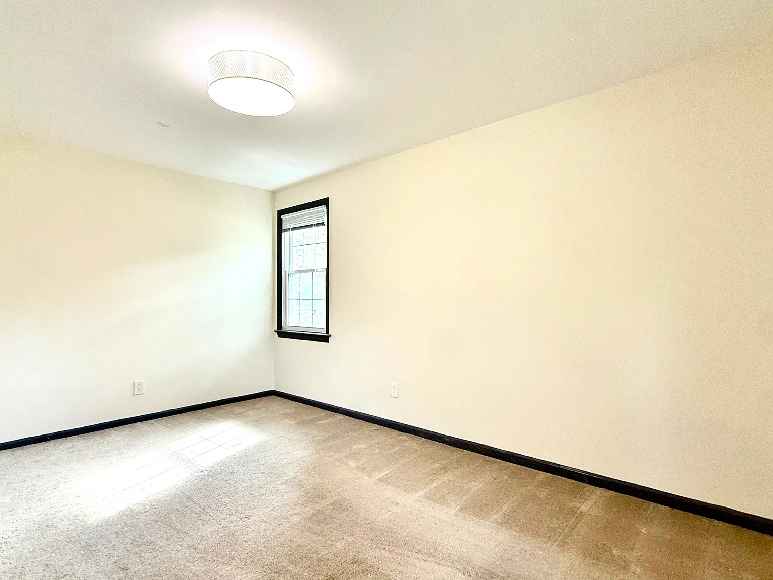 Blossom Dr, Rockville — Photo 2