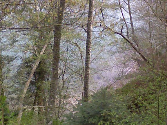 Beach access possible