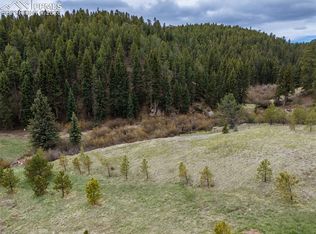 521 University Dr, Woodland Park, CO 80863