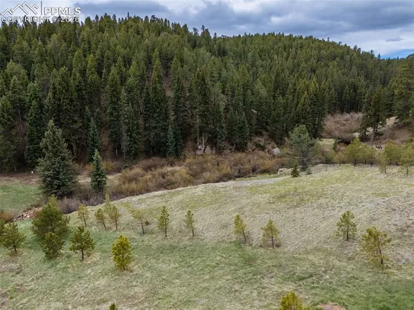 521 University Dr, Woodland Park, CO 80863