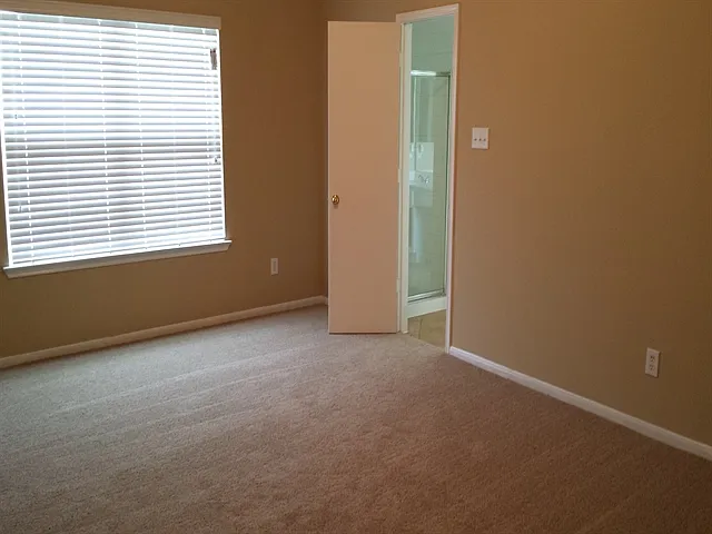 2894 Colony Cone Cir — Photo 5
