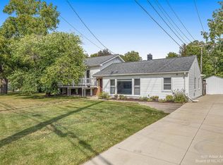 109 Wilkinson St, Chelsea, MI 48118