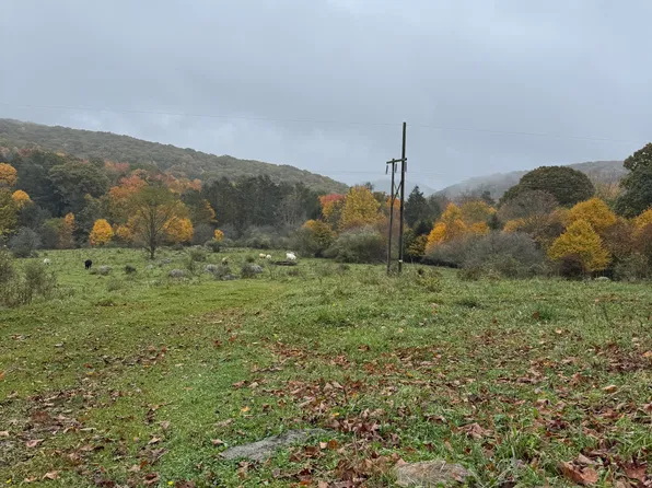 7842 Back Mountain Rd, Durbin, WV 26264