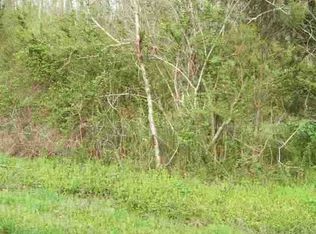520 Smyrna Heights Dr, Evensville, TN 37332
