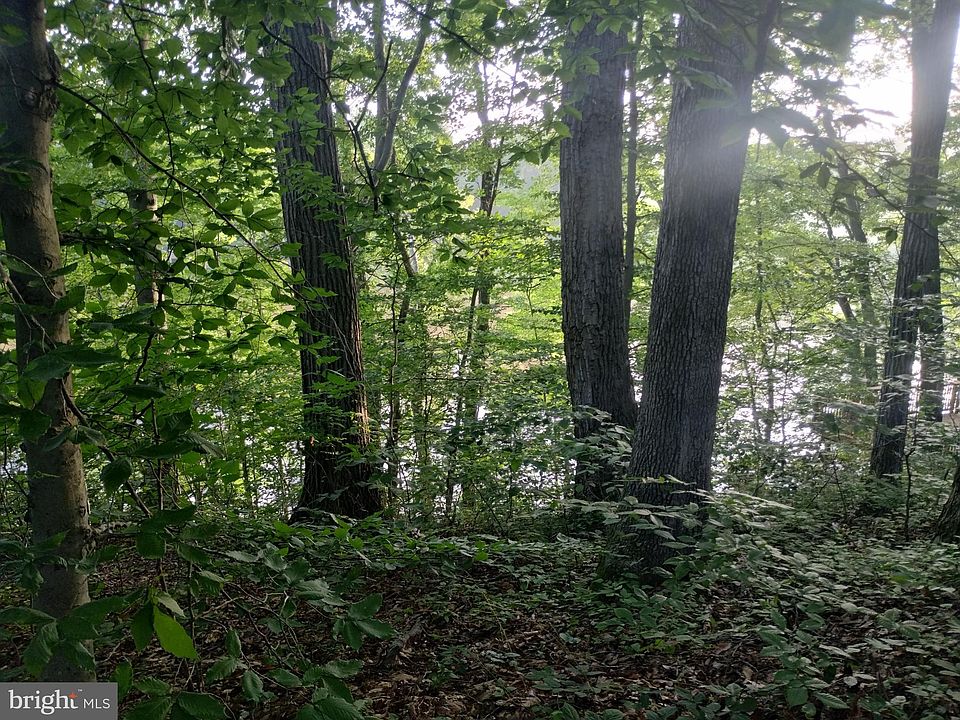 2nd image of 8226 Foneswood Ln