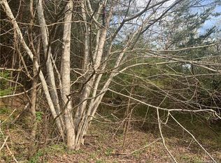 269 McLean Rd, Weaverville, NC 28787