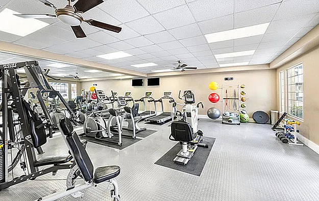 D-41