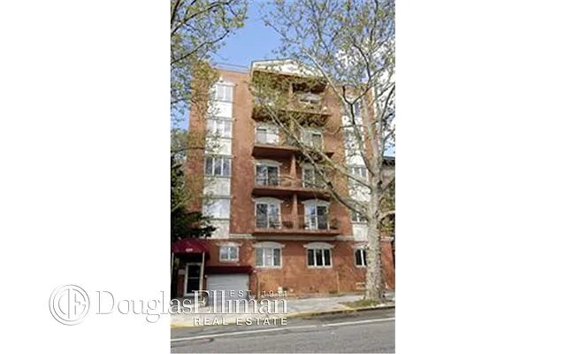 Rented by Douglas Elliman | media 17