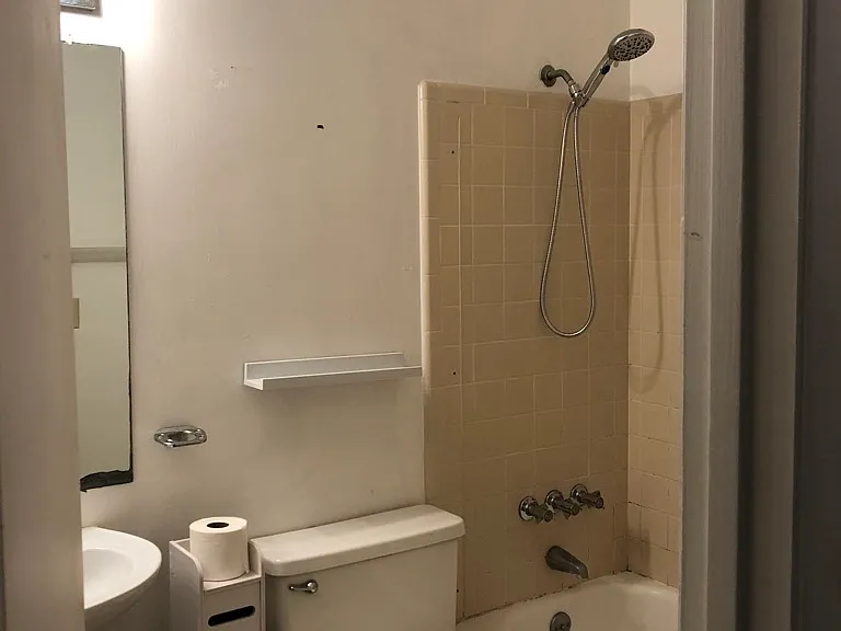 Hall Bath 9'5" x 7'4"
