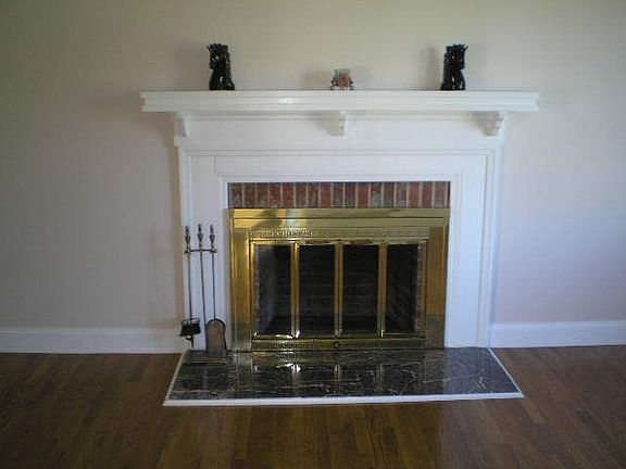 Wood Burning Fireplace 