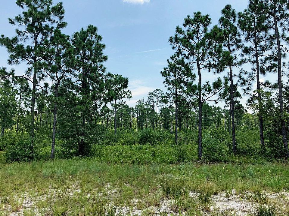 1st image of 2303 Pine Mill Trl