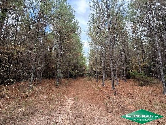 3rd image of 0 Tram Rd