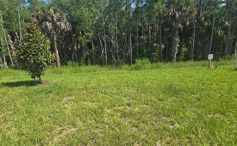 5621 Morant Bay Path — Photo 24