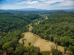 619 Young Stone Dr, Mineral Bluff, GA 30559