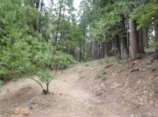 2875 Shoshone Dr, Camp Connell, CA 95223