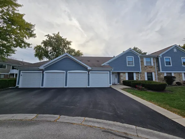 314 Wildberry Ct, Schaumburg, IL 60193