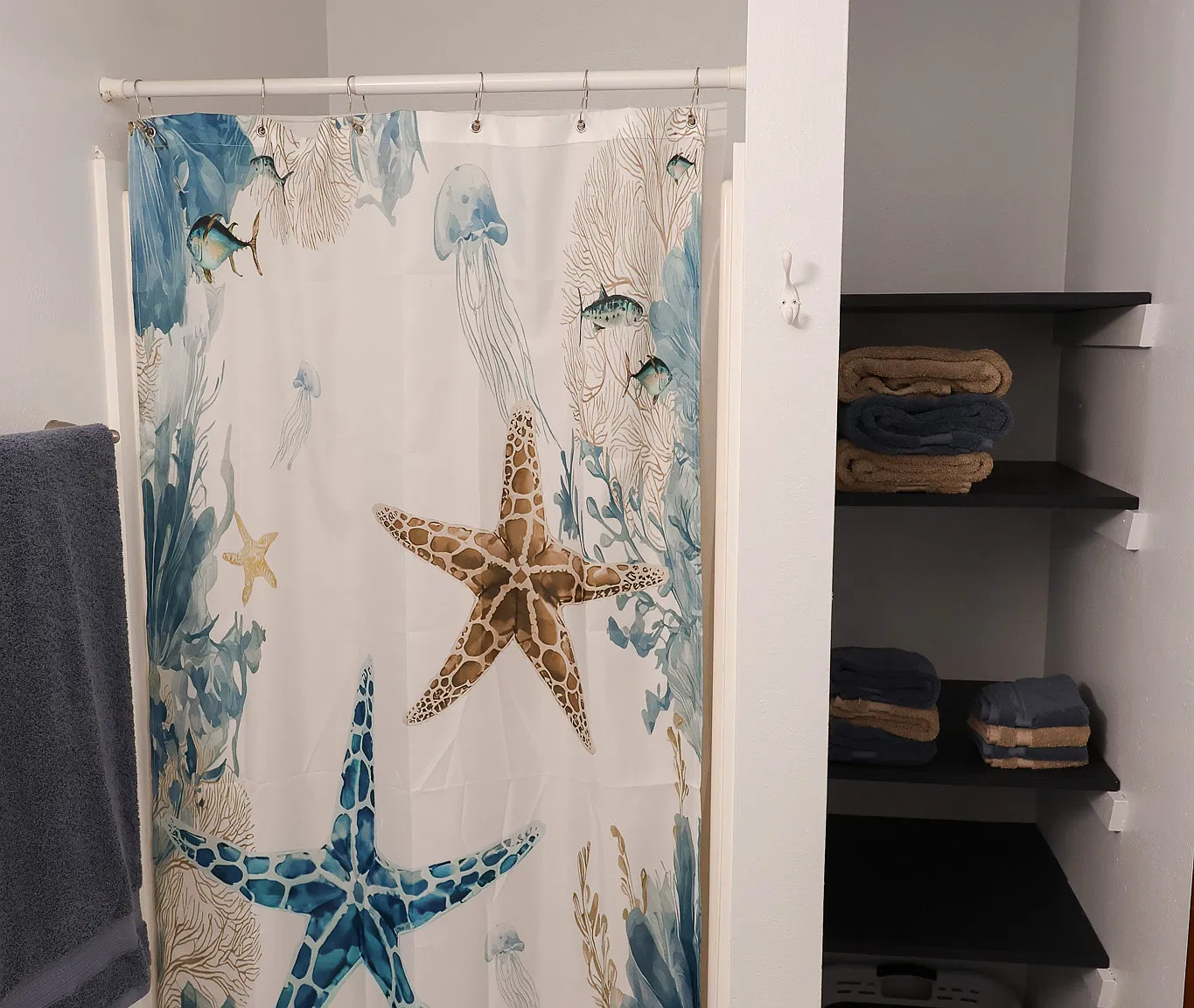 1 bed, 350 sqft, $1,200 — Photo 3