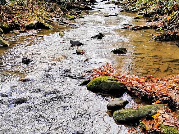 99th image of 740 Little Rock Creek Rd