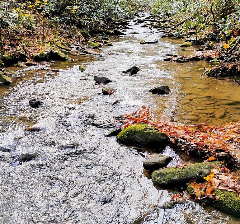 110th image of 740 Little Rock Creek Rd