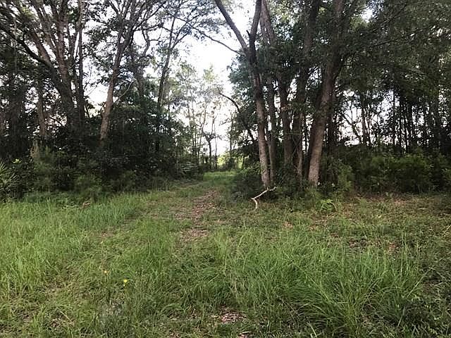 2nd image of 617 Galilee Rd
