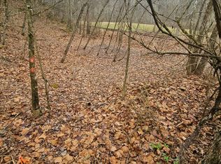 Copen Rd, Copen, WV 26615