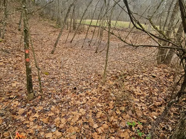 Copen Rd, Copen, WV 26615