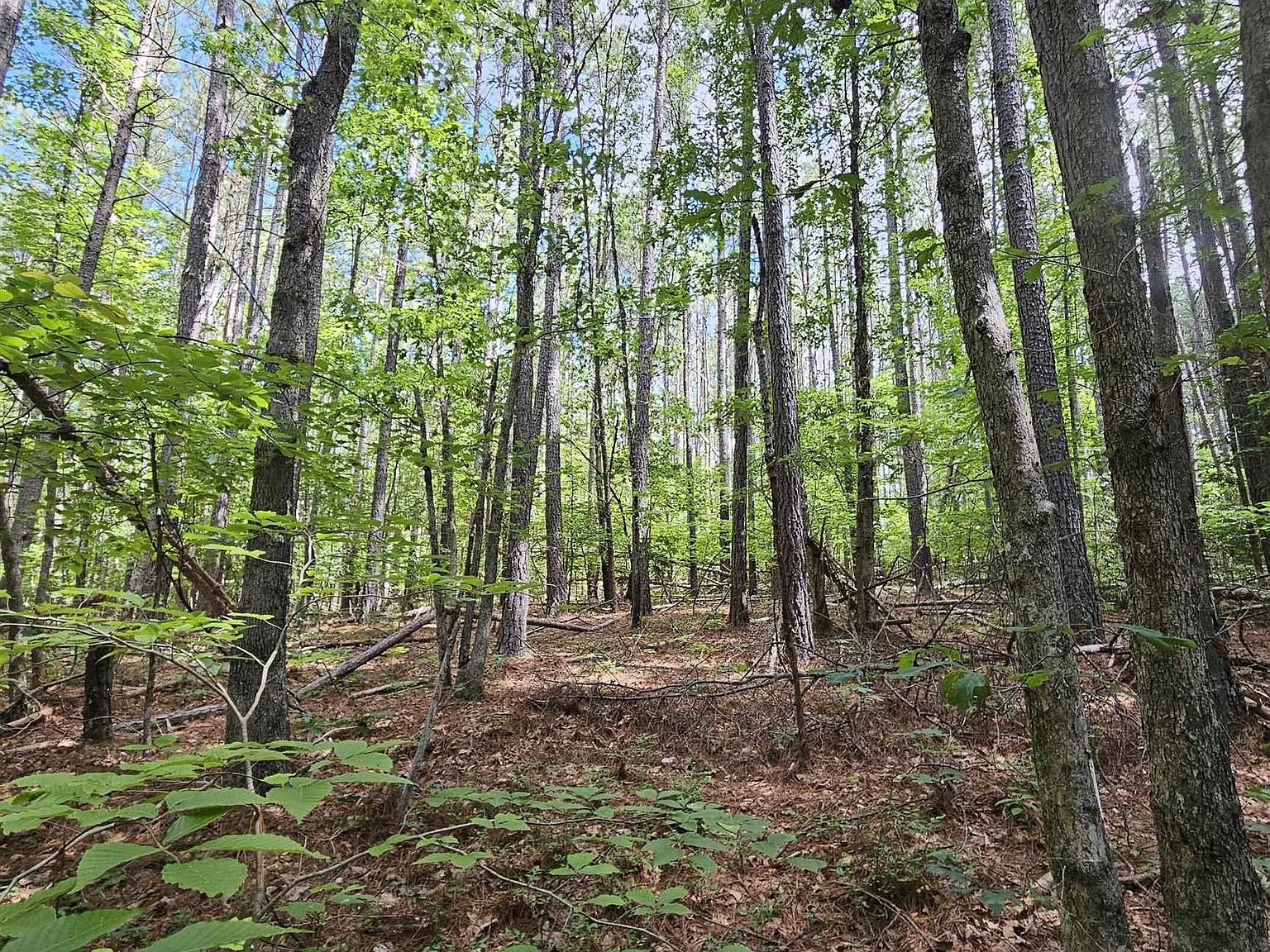 Slate River Trl 22, Arvonia, VA 23004 MLS 653542 Zillow