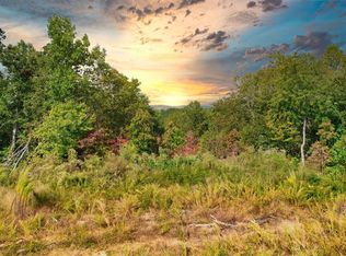 20 Oak Hill Dr, Ellijay, GA 30540