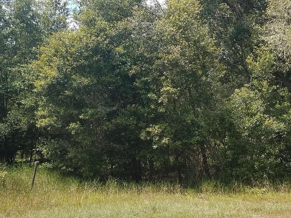 1st image of 5519 Crockett Ct