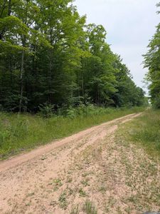 Tbd8 Off Wilderness Dr, Ontonagon, MI, 49953