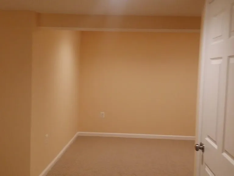 Basement Bonus Room