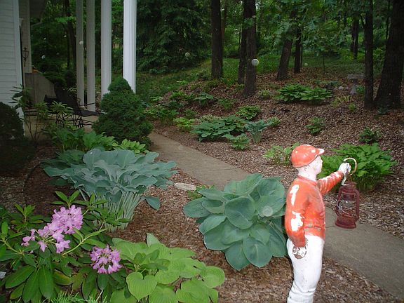 Professional Landscaping