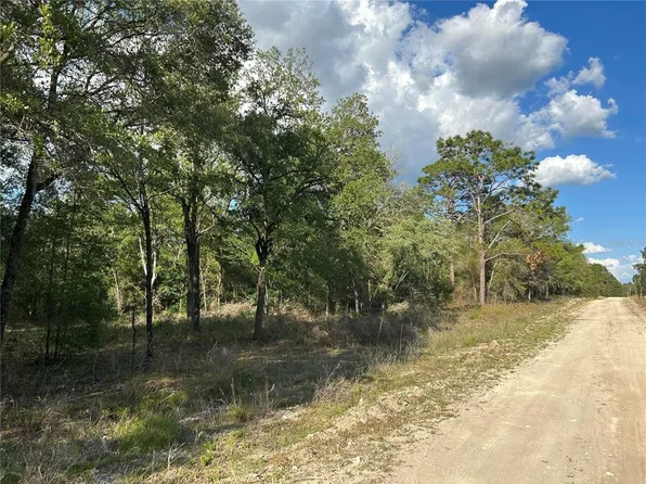 0 SE 73rd Pl #10, Morriston, FL 32668