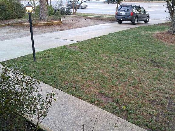 View from Front Porch