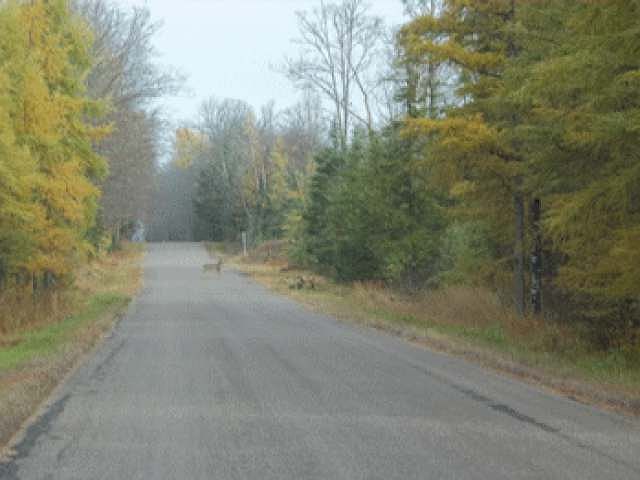 2nd image of On Helberg Rd